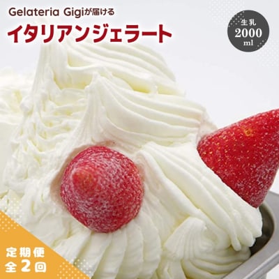 定期便:全2回ジェラテリアGigiのイタリアンジェラート『生乳』2000ml【43004503】