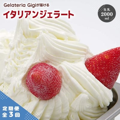 定期便:全3回ジェラテリアGigiのイタリアンジェラート『生乳』2000ml【43004603】
