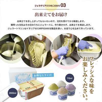 定期便全2回Gigiのイタリアンジェラート『イタリア産ピスタチオ』2000ml【43004703】