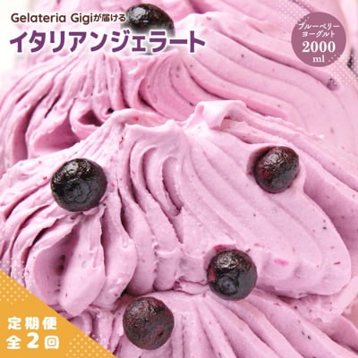 定期便全2回Gigiのイタリアンジェラート『ブルーベリーヨーグルト』2000ml【43005702】