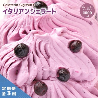 定期便全3回Gigiのイタリアンジェラート『ブルーベリーヨーグルト』2000ml【43005803】