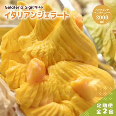 定期全2回Gigiイタリアンジェラート『アルフォンソマンゴーソルべ』2000ml【43006303】