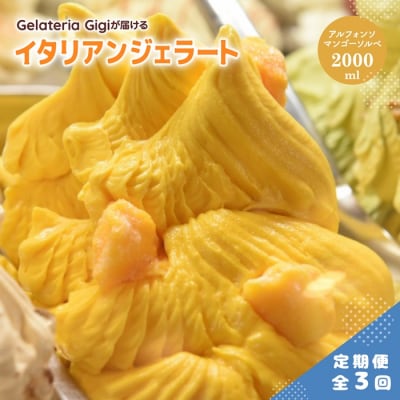 定期全3回Gigiイタリアンジェラート『アルフォンソマンゴーソルベ』2000ml【43006403】