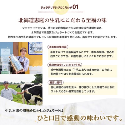 定期全2回生乳イタリアンジェラート,イタリア産ピスタチオ各6個:計12個【43006502】