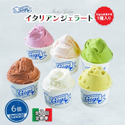 定期全3回ジェラート6種(Gigiのおまかせ1種入り)カップサイズ6個【43006802】