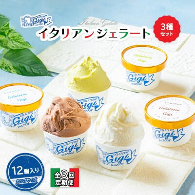 定期全3回イタリアンジェラート3種セットカップサイズ12個【43007402】