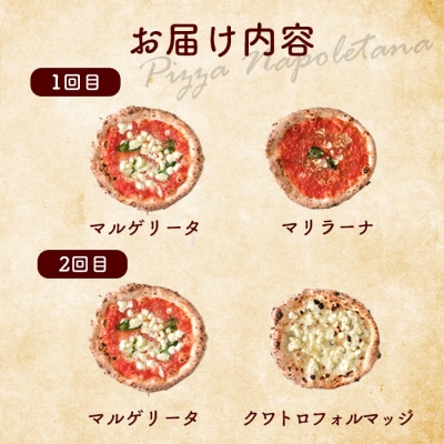 定期便:全2回北海道チェルボの石窯ピッツァ【マルゲリータとおすすめセット】【43009502】