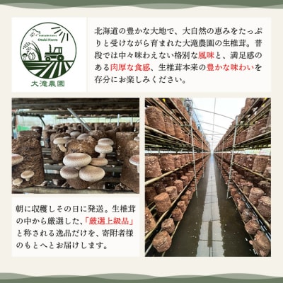 【先行受付】《数量限定》北海道恵庭産生しいたけ24個(桐箱入り)【800002】
