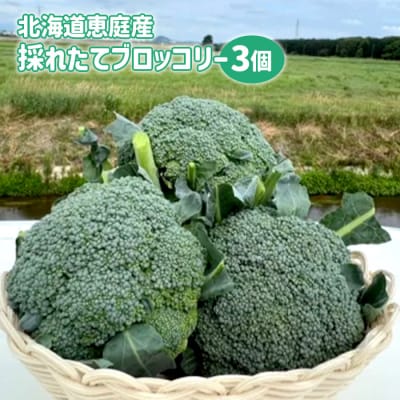 北海道恵庭産採れたてブロッコリー3個【80000901】