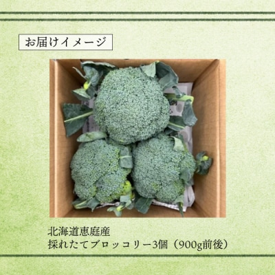 北海道恵庭産採れたてブロッコリー3個【80000901】