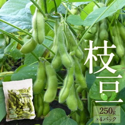 『★先行受付★8月初旬より順次発送』枝豆　250g×4パックセット【31001301】