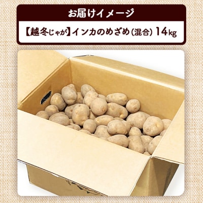 【越冬じゃが】インカのめざめ(混合)　14kg【83000202】