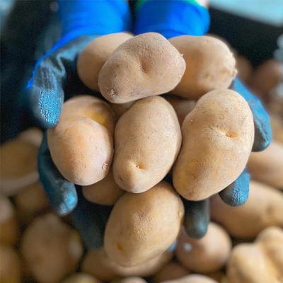 【新じゃが】インカのめざめ(混合)　18kg【83000302】