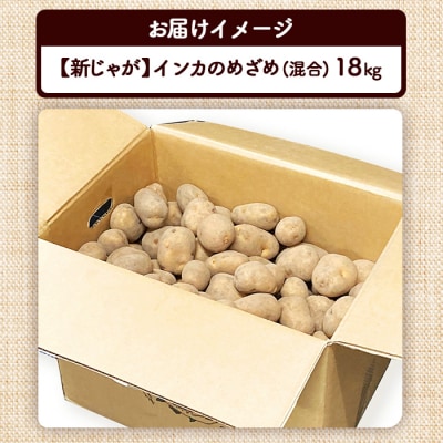 【新じゃが】インカのめざめ(混合)　18kg【83000302】