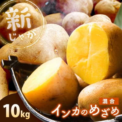 《!数量限定!》【新じゃが】インカのめざめ 混合サイズ 10kg【83000803】