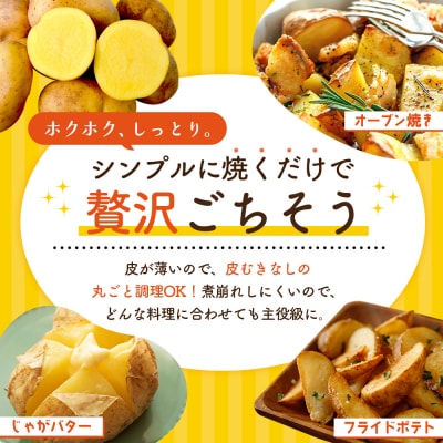 《!数量限定!》【新じゃが】インカのめざめ 混合サイズ 10kg【83000803】