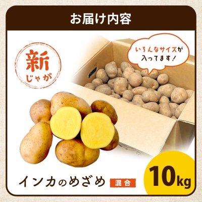 《!数量限定!》【新じゃが】インカのめざめ 混合サイズ 10kg【83000803】