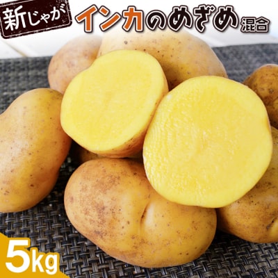 【新じゃが】インカのめざめ混合5kg【83000901】