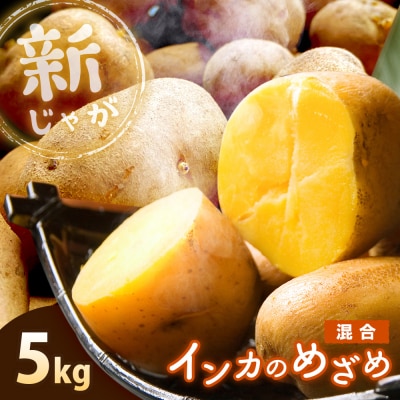 《!数量限定!》【新じゃが】インカのめざめ 混合サイズ 5kg【83000903】