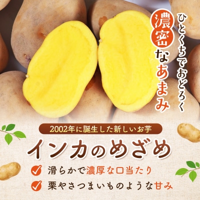 《!数量限定!》【新じゃが】インカのめざめ 混合サイズ 5kg【83000903】