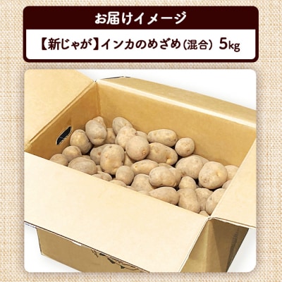 【新じゃが】インカのめざめ混合5kg【83000901】