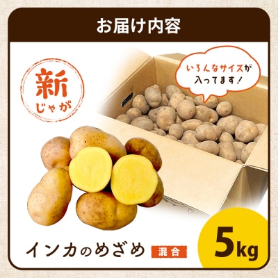 《!数量限定!》【新じゃが】インカのめざめ 混合サイズ 5kg【83000903】