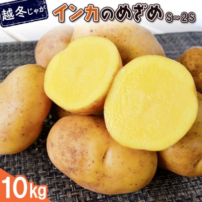 訳あり じゃがいも 埋め込ま 10kg とうや 北海道産 ジャガイモ