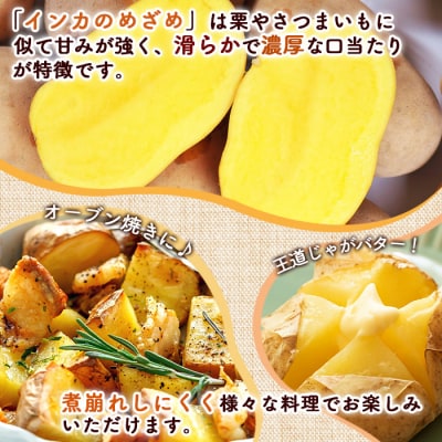 【越冬じゃが】インカのめざめ混合10kg【83001102】