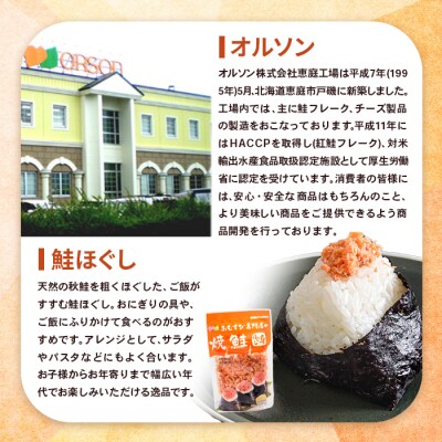 【定期便:全2回】オルソンおむすび専門店の焼鮭ほぐし身44g×4袋【04001401】