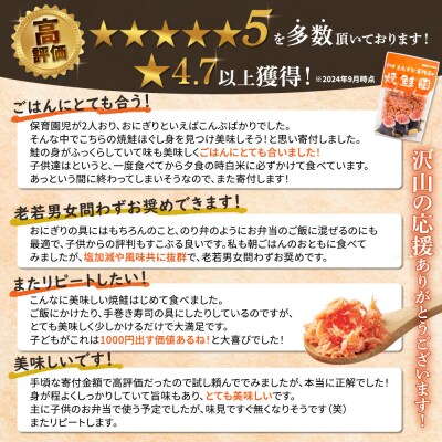 【定期便:全6回】オルソンおむすび専門店の焼鮭ほぐし身44g×4袋【04001801】