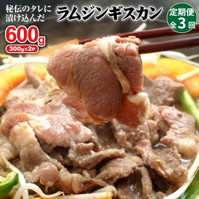 y:S3ztWMXJ300g×2y16002101z