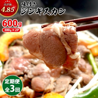 【定期便:全3回】味付きジンギスカン300g×2個【16002101】