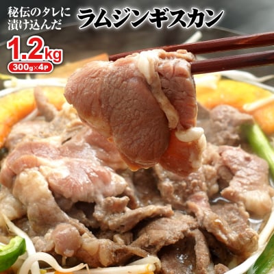 tWMXJ300g×4(v1.2kg)y16002601z