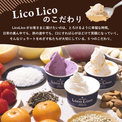 HAPPY BOX LicoLicoジェラートミルクチョコレート1L&8種×1個【56001201】