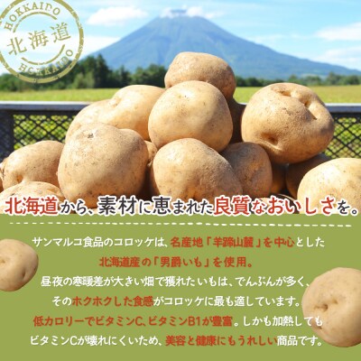 【サンマルコ食品】コロモアコロッケバラエティ全7種 48個セット【07000201】