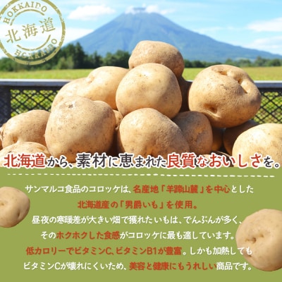 【サンマルコ食品】コロモアコロッケチーズ全3種計24個セット【070004】