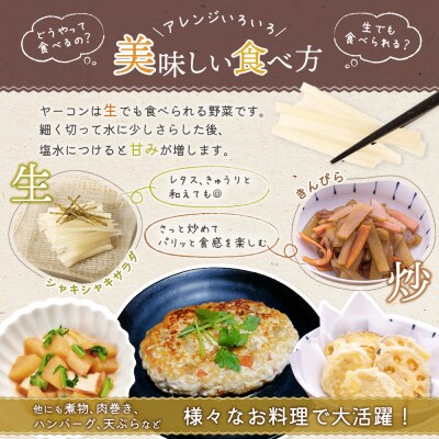 【先行予約】【北海道恵庭市産】余湖農園のヤーコン4kg【31001402】
