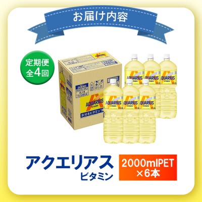 【定期便:全4回】アクエリアス ビタミン 2LPET×6本【38008801】