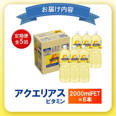 【定期便:全5回】アクエリアス ビタミン 2LPET×6本【38008901】