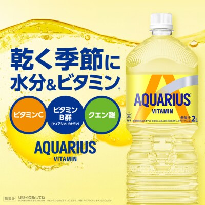 【定期便:全6回】アクエリアス ビタミン 2LPET×6本【380090】