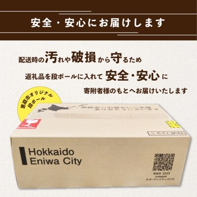 【ビール飲み比べ定期便:2回】サッポロ黒ラベルとエビスビール各350ml×24本【300205】