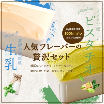 【味違いセット】Gigiのイタリアンジェラート ピスタチオ×生乳1000ml×2【430145】