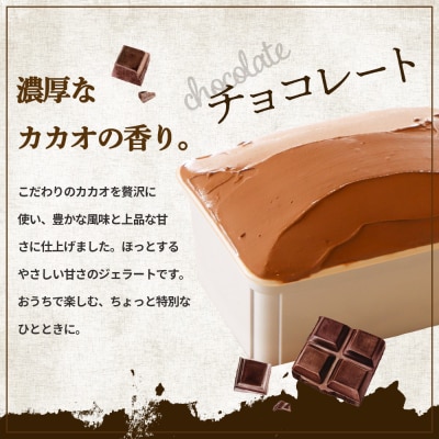 ジェラテリアGigiのイタリアンジェラート 『チョコレート』1000ml【430149】