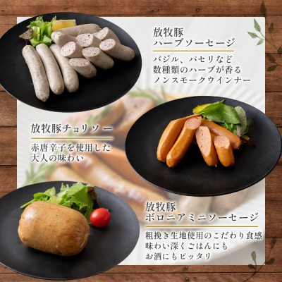 【定期便:4回】【ご自宅用】北海道産放牧豚 無添加ウインナーセット ×2セット【120033】