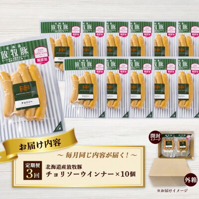 【定期便:3回】北海道産放牧豚 無添加チョリソーウインナー ×10パック【12005201】