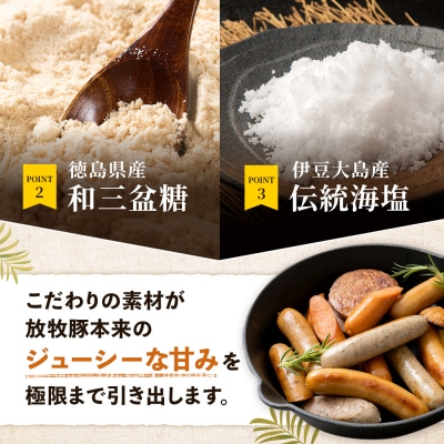 【定期便4回】北海道産放牧豚 無添加ポークウインナー・粗挽きウインナー ×各10【12006801】