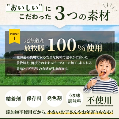 【定期便:5回】北海道産放牧豚 無添加チョリソーウインナー ×20パック【12009401】