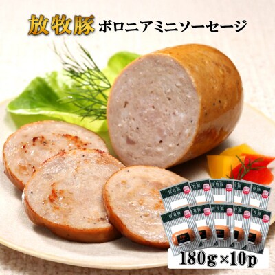 放牧豚ボロニアミニソーセージ 180g×10P【12010801】