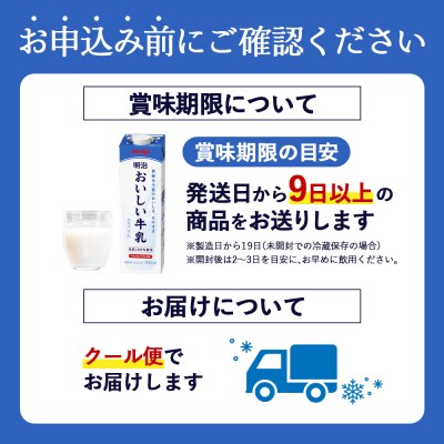 《配送地域限定》明治おいしい牛乳 900ml【2本】【73003901】