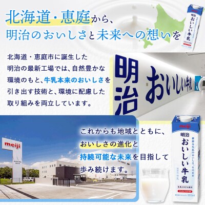 《配送地域限定》【定期便7回】明治おいしい牛乳 900ml【3本】【73005601】
